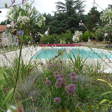 Villa Entiere Du Chateau Lacroix De Civrac 3 Ch, 3 Sdb, Piscine Xxl,Sauna, 4 Etoiles,7 Pers Екстер'єр фото
